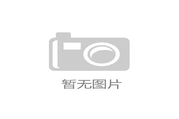 1930年世界杯南斯拉夫队悲壮征程